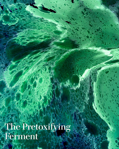 The Deep Purifying Mask